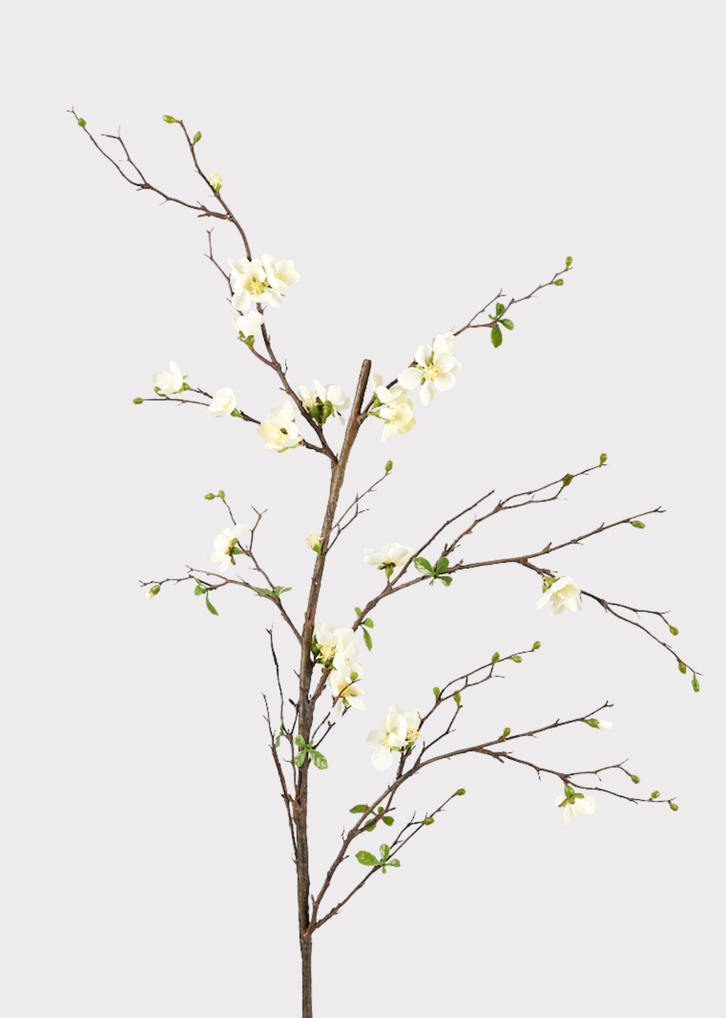 Premium Artificial Flowers  - Cream Artificial Blossom Branch - 57