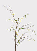 Premium Artificial Flowers  - Cream Artificial Blossom Branch - 57