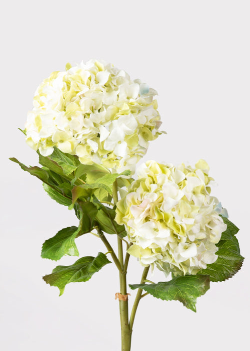 Cream Green Artificial Hydrangea Branch - 36